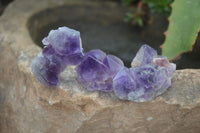 Natural Small Dark Amethyst Clusters  x 37 From Mapatizya, Zambia - Toprock Gemstones and Minerals 