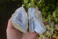 Natural Blue Lace Agate Geode Specimens  x 6 From Nsanje, Malawi