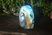 Polished Blue & Gold Labradorite Standing Free Form  x 1 From Tulear, Madagascar