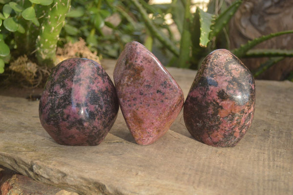 Polished Pink & Black Rhodonite Standing Free Forms x 3 From Zimbabwe