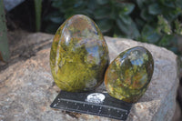 Polished Green Opal Standing Free Forms  x 6 From Antsirabe, Madagascar - Toprock Gemstones and Minerals 