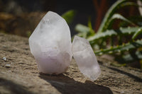 Natural Clear Amethyst & Smokey Brandberg Quartz Crystals x 12 From Brandberg, Namibia