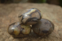 Polished Lovely Mixed Selection Of Palm Stones  x 12 From Madagascar - TopRock