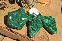 Polished Malachite Free Forms With Stunning Flower & Banding Patterns x 3 From Congo - TopRock