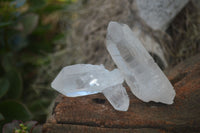 Natural Single Clear Quartz Crystals  x 35 From Madagascar - Toprock Gemstones and Minerals 