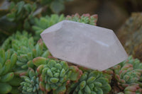 Polished Gemmy Double Terminated Rose Quartz Points x 6 From Antsirabe, Madagascar