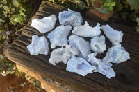 Natural Etched Blue Chalcedony Specimens  x 12 From Nsanje, Malawi