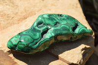 Polished Malachite Free Forms With Stunning Flower & Banding Patterns x 3 From Congo - TopRock