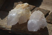 Natural White Spirit Cactus Quartz Crystals  x 24 From Boekenhouthoek, South Africa - Toprock Gemstones and Minerals 