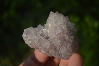 Natural Spirit Amethyst Quartz Specimens x 12 From Boekenhouthoek, South Africa