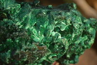 Natural Chatoyant Silky Malachite Specimens  x 2 From Kasompe, Congo