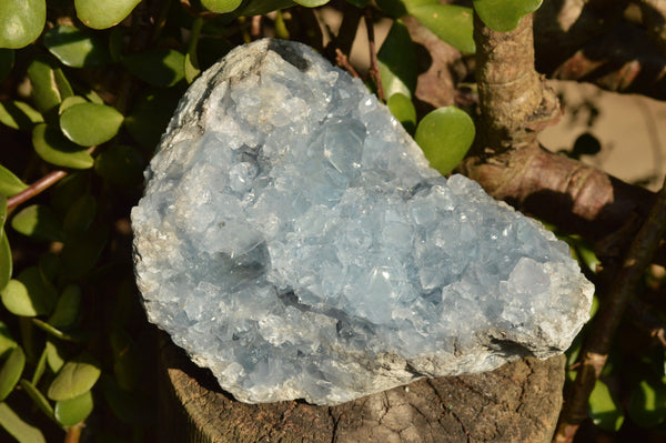 Natural Blue Celestite Cluster x 1 From Sakoany, Madagascar - TopRock