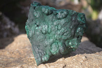 Natural Crystalline Botryoidal Malachite Specimens  x 3 From Congo