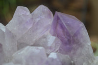 Natural Jacaranda Amethyst Clusters  x 2 From Zambia - Toprock Gemstones and Minerals 