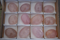 Polished Gemmy Pink Rose Quartz Palm Stones  x 12 From Madagascar - Toprock Gemstones and Minerals 