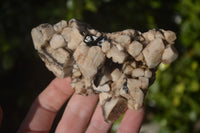 Natural Aegirine With Schorl Specimens  x 4 From Malawi