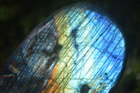 Polished Blue & Gold Labradorite Standing Free Form  x 1 From Tulear, Madagascar