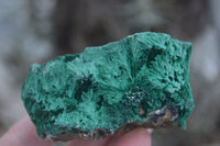 Natural Large Chatoyant Silky Malachite Specimens  x 4 From Kasompe, Congo - Toprock Gemstones and Minerals 