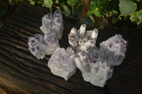 Natural Sugar Amethyst Clusters  x 6 From Solwezi, Zambia - Toprock Gemstones and Minerals 