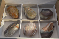 Polished River Agate Free Forms  x 6 From Sashe River, Zimbabwe - Toprock Gemstones and Minerals 