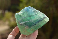 Natural Small Cobbed Watermelon Fluorite Specimens x 5 From Uis, Namibia - TopRock