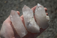 Natural Single Clear Quartz Crystals  x 12 From Mpika, Zambia - Toprock Gemstones and Minerals 