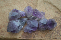 Natural Small Dark Amethyst Clusters  x 37 From Mapatizya, Zambia - Toprock Gemstones and Minerals 