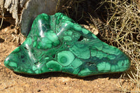 Polished Malachite Free Forms With Stunning Flower & Banding Patterns x 3 From Congo - TopRock