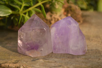 Polished Small Window Amethyst Quartz Points x 12 From Madagascar