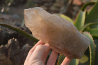 Natural Arcadian Quartz Crystals x 2 From Angola