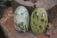 Polished Spotted Leopard Stone Standing Free Forms  x 6 From Zimbabwe - Toprock Gemstones and Minerals 