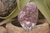 Polished Rubellite A Grade Large Standing Display Free form x 1 From Madagascar