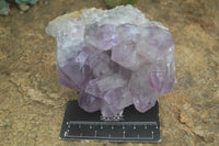 Natural Jacaranda Amethyst Clusters  x 2 From Zambia - Toprock Gemstones and Minerals 