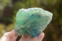 Natural Small Cobbed Watermelon Fluorite Specimens x 5 From Uis, Namibia - TopRock