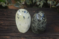 Polished Spotted Leopard Stone Standing Free Forms  x 6 From Zimbabwe - Toprock Gemstones and Minerals 