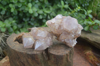 Natural Spirit Amethyst Quartz Clusters  x 6 From Boekenhouthoek, South Africa - Toprock Gemstones and Minerals 