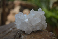 Natural Single Clear Quartz Crystals  x 12 From Mpika, Zambia - Toprock Gemstones and Minerals 