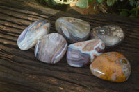 Polished River Agate Free Forms  x 6 From Sashe River, Zimbabwe - Toprock Gemstones and Minerals 