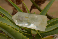 Polished Clear Quartz Crystal Points x 6 From Madagascar - TopRock