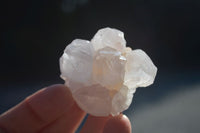 Natural White Spirit Cactus Quartz Crystals  x 24 From Boekenhouthoek, South Africa - Toprock Gemstones and Minerals 