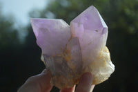 Natural Jacaranda Amethyst Clusters  x 3 From Mumbwa, Zambia - Toprock Gemstones and Minerals 