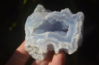 Natural Etched Blue Chalcedony Specimens  x 12 From Nsanje, Malawi