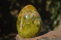 Polished Green Opal Standing Free Forms  x 6 From Antsirabe, Madagascar - Toprock Gemstones and Minerals 