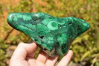 Polished Malachite Free Forms With Stunning Flower & Banding Patterns x 3 From Congo - TopRock