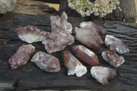 Natural Red Hematoid Quartz Specimens x 12 From Karoi, Zimbabwe