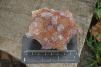 Natural Spirit Amethyst Quartz Clusters  x 6 From Boekenhouthoek, South Africa - Toprock Gemstones and Minerals 