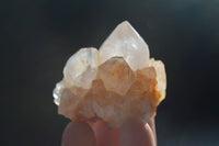 Natural White Spirit Cactus Quartz Crystals  x 24 From Boekenhouthoek, South Africa - Toprock Gemstones and Minerals 