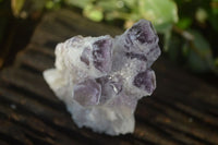 Natural Sugar Amethyst Clusters  x 6 From Solwezi, Zambia - Toprock Gemstones and Minerals 