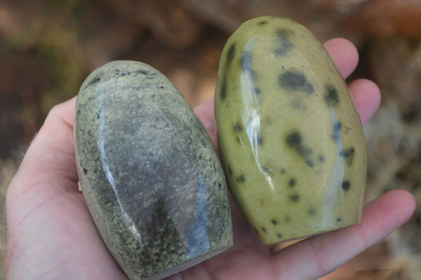 Polished Spotted Leopard Stone Standing Free Forms  x 6 From Zimbabwe - Toprock Gemstones and Minerals 