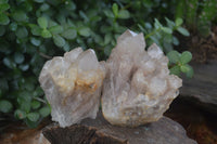 Natural Cascading White Phantom Smokey Quartz Clusters  x 6 From Luena, Congo - Toprock Gemstones and Minerals 